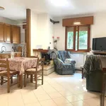 3-room flat good condition, Pianelli, Pavullo nel Frignano