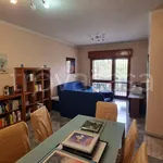 Rent 3 bedroom apartment of 80 m² in Roma