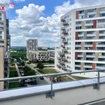 Rent 4 bedroom apartment of 150 m² in Praha