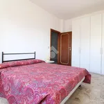 Rent 4 bedroom apartment of 130 m² in Pescara