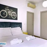 Rent 3 bedroom apartment of 90 m² in Bologna