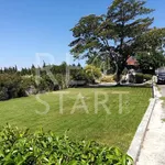 Rent 3 bedroom house of 300 m² in Καπανδρίτι