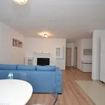 Rent 2 bedroom apartment of 58 m² in Timișoara