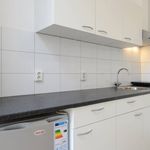 Rent 1 bedroom apartment of 22 m² in Leiden