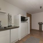 Huur 2 slaapkamer appartement van 165 m² in Breda