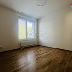 Rent 3 bedroom apartment of 55 m² in Capital City of Prague