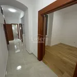 Rent 3 bedroom apartment of 66 m² in Grad Rijeka