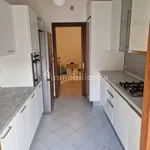 Rent 4 bedroom apartment of 150 m² in Padua