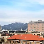 Rent 2 bedroom apartment of 45 m² in Torino