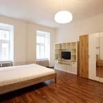 Rent 1 bedroom apartment of 42 m² in Brno