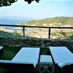 Rent 5 bedroom house of 250 m² in Monte Argentario