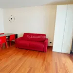 Rent 1 bedroom apartment of 40 m² in Roma