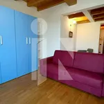 Rent 1 bedroom apartment of 40 m² in Mantua