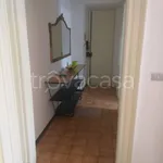 Rent 3 bedroom apartment of 80 m² in Torino