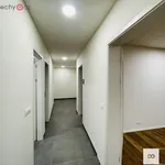 Rent 3 bedroom apartment of 79 m² in Trhový Štěpánov