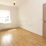 Rent 2 bedroom apartment of 60 m² in Cvikov