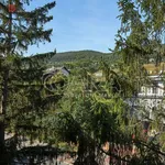 Rent 3 bedroom apartment of 53 m² in Beroun