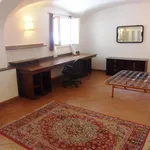 Rent 2 bedroom apartment of 105 m² in Rome