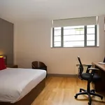 Rent 1 bedroom apartment in Brighton