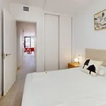 Alquilo 4 dormitorio apartamento de 80 m² en Alicante