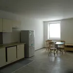 Rent 1 bedroom apartment in Hradec Králové