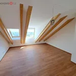 Rent 3 bedroom apartment in Brno