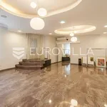 Rent 8 bedroom house of 500 m² in Zagreb