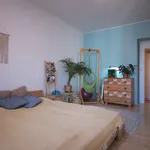 Rent 2 bedroom apartment of 49 m² in Prague