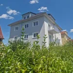 Rent 3 bedroom apartment of 66 m² in Dresden