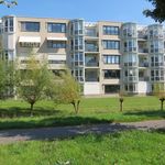 Rent 2 bedroom apartment of 92 m² in Oss