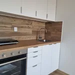 Rent 1 bedroom apartment of 29 m² in Ostrava