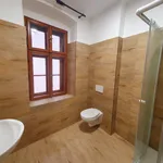 Pronajměte si 1 ložnic/e byt o rozloze 33 m² v Olomouc