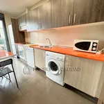 Rent 1 bedroom apartment of 55 m² in Madrid