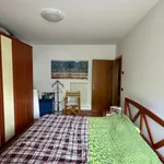 Rent 1 bedroom apartment in Rovereto