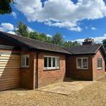 Rent 3 bedroom house in East Midlands