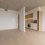 Appartement de 441 m² avec 1 chambre(s) en location à Brossard