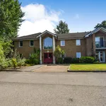 Rent 1 bedroom apartment in Rushmoor