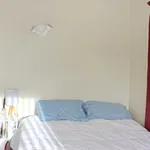 Rent 4 bedroom apartment in Christchurch