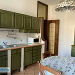 Rent 4 bedroom apartment of 160 m² in Turin