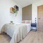 Alquilar 7 dormitorio apartamento en Valencia