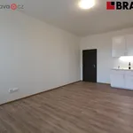 Rent 1 bedroom apartment of 31 m² in Brno