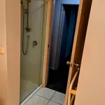 Rent 3 bedroom apartment in Auckland