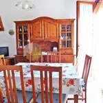 Rent 4 bedroom apartment of 90 m² in Pisa