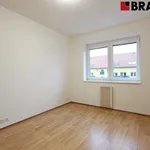 Rent 2 bedroom apartment of 43 m² in Brno