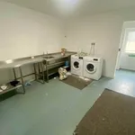 Rent 1 bedroom house in Swansea