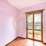 Affitto 6 camera appartamento di 312 m² in Cerveteri