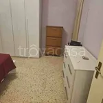 Rent 2 bedroom apartment of 50 m² in Torino