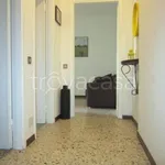 Rent 2 bedroom apartment of 40 m² in Milano