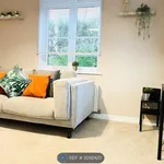 Rent a room in Colchester