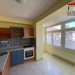 Rent 1 bedroom apartment in Brno